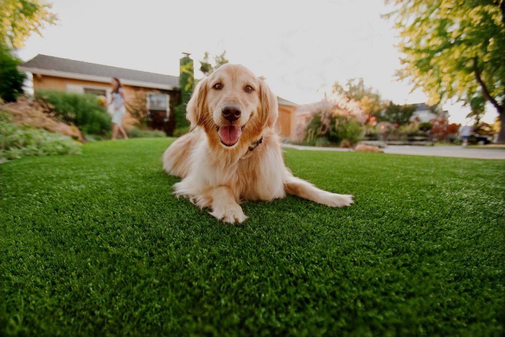 Artificial Turf Installation in San Diego